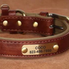 Custom Faux Leather Dog Collars