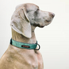 Custom Leather Dog Collar Green