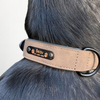 Custom Dog Collar Brown