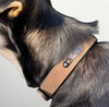 Custom Dog Collar Coffee