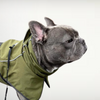 reflective dog jacket dark green