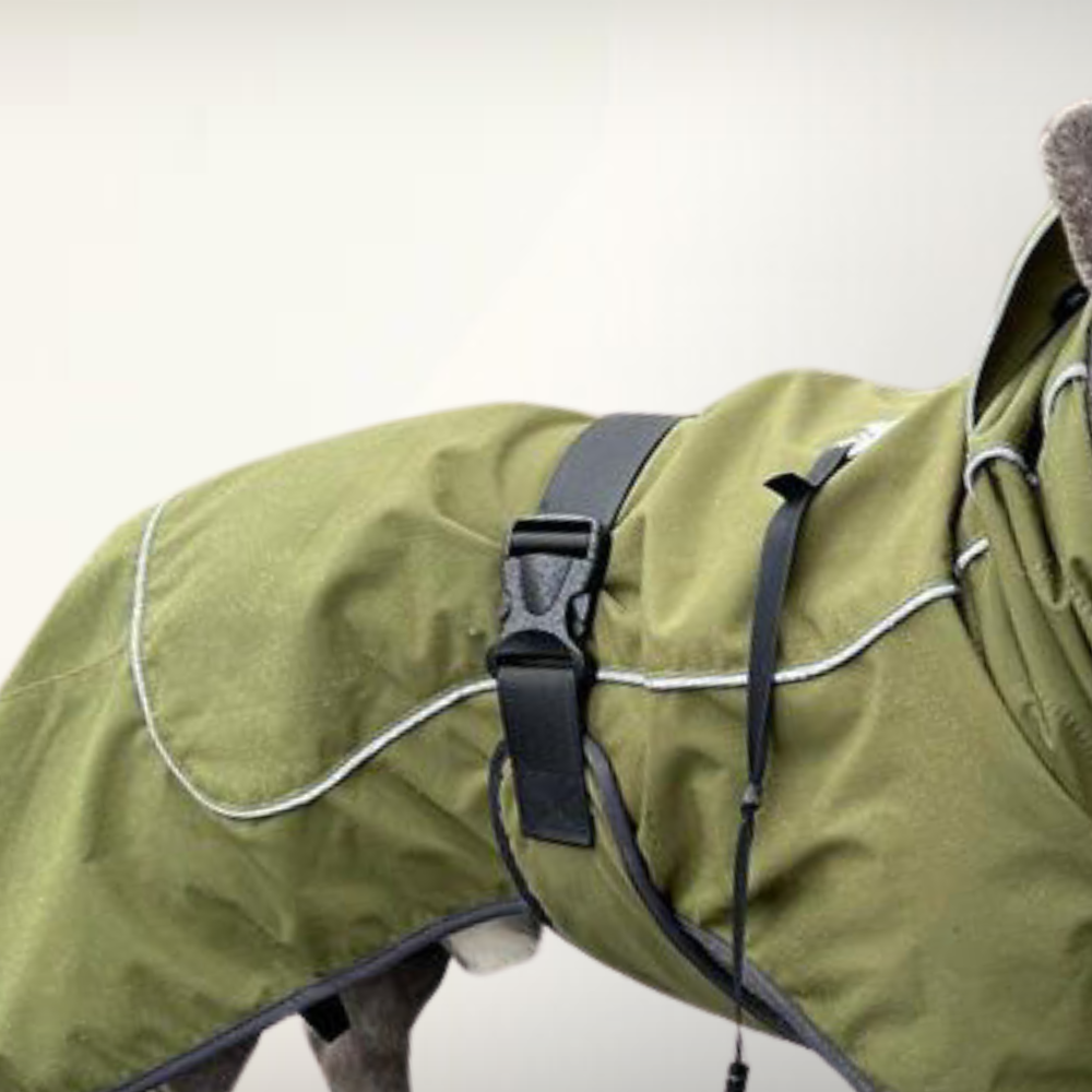 Reflective Waterproof Dog Rain Jacket - Dark Green