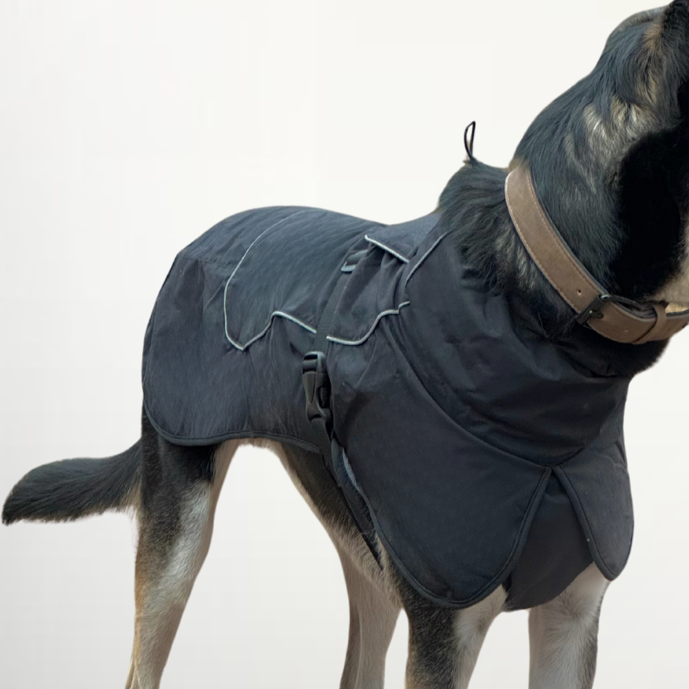 Reflective Dog Jacket In Black