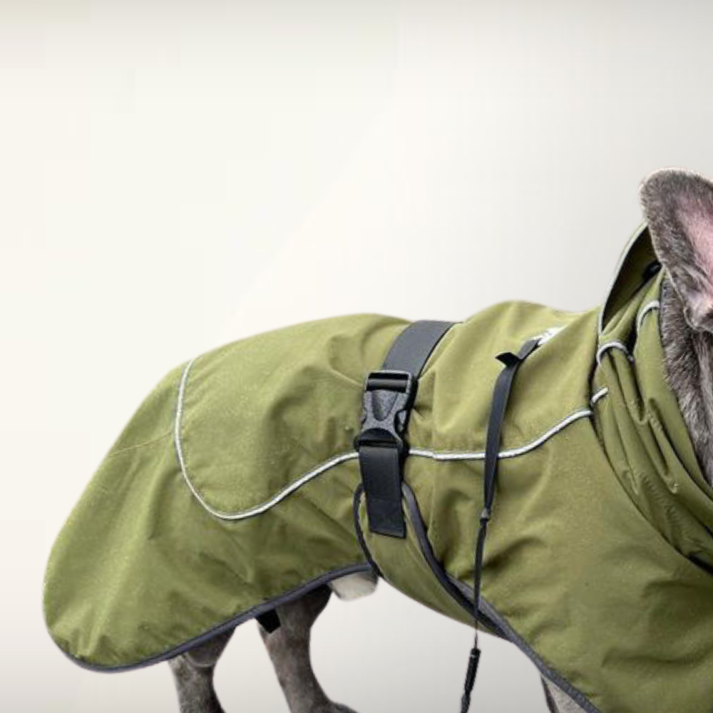 reflective dog jacket in dark green