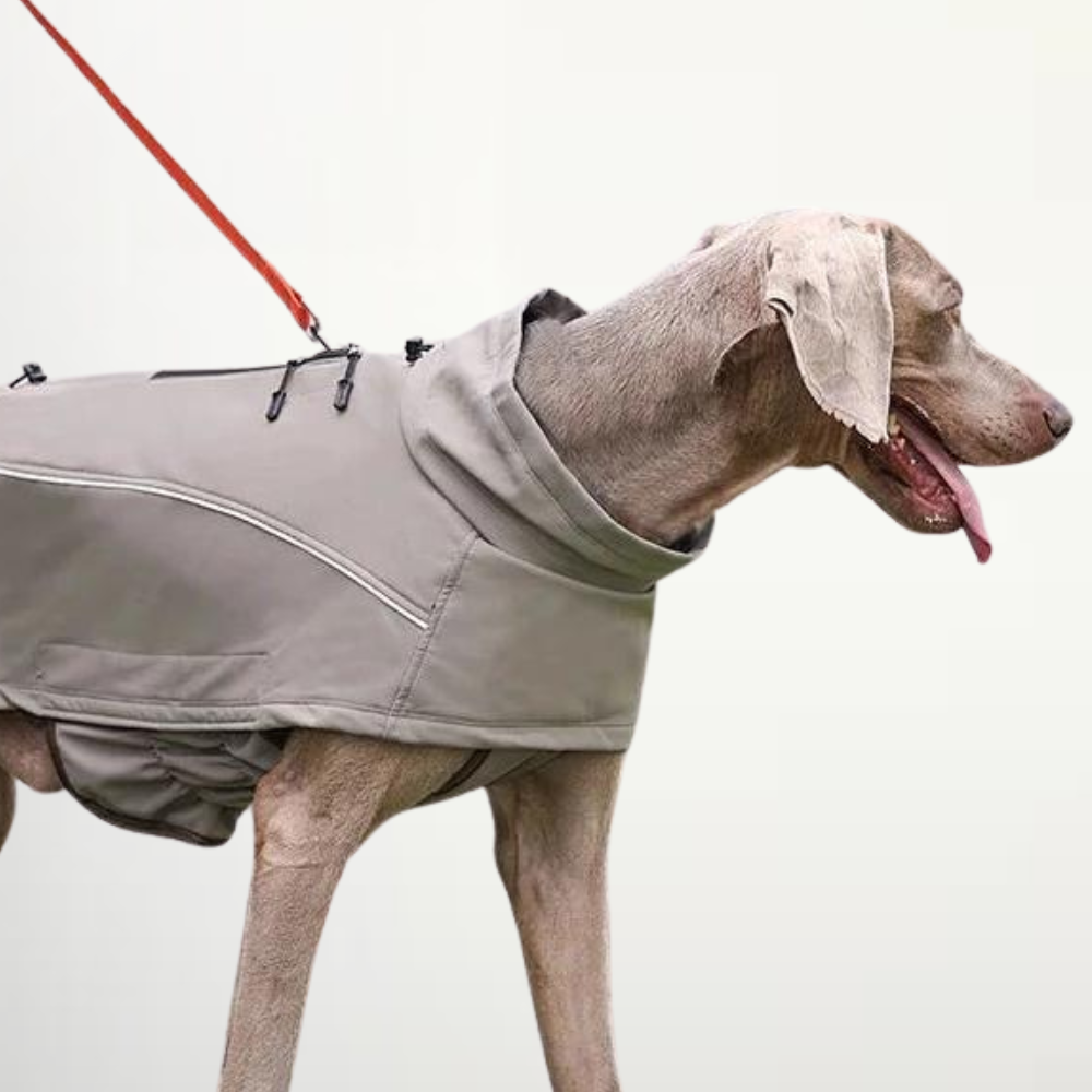 High-Quality Reflective Waterproof Dog Jacket - Khaki