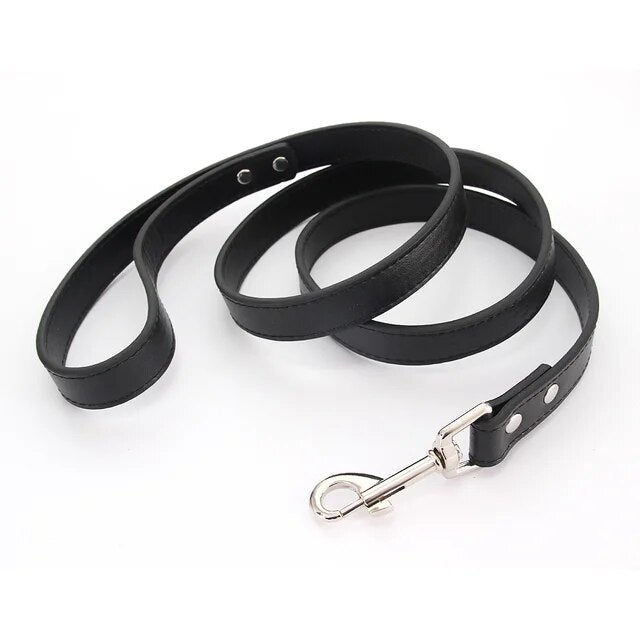 Leather Dog Leash