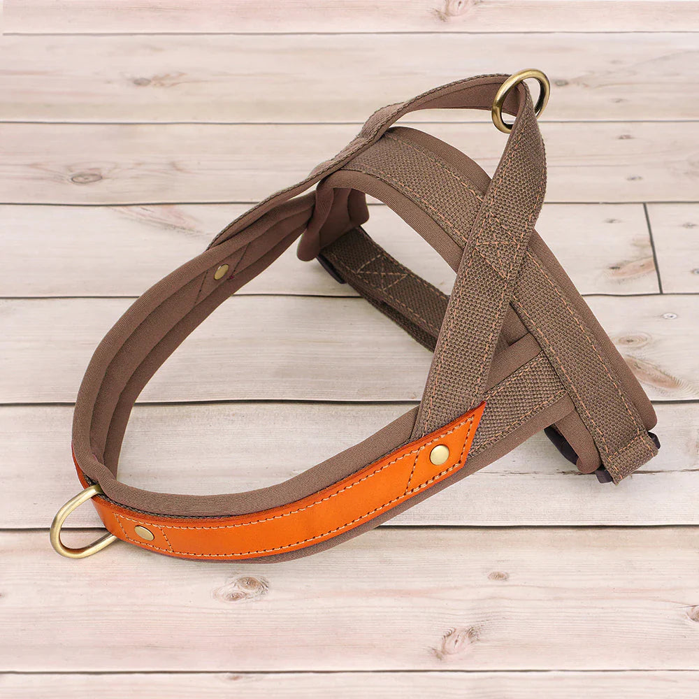 Soft Padded No Pull Dog Harness - Brown