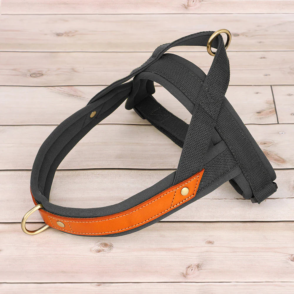 Soft Padded No Pull Dog Harness - Black