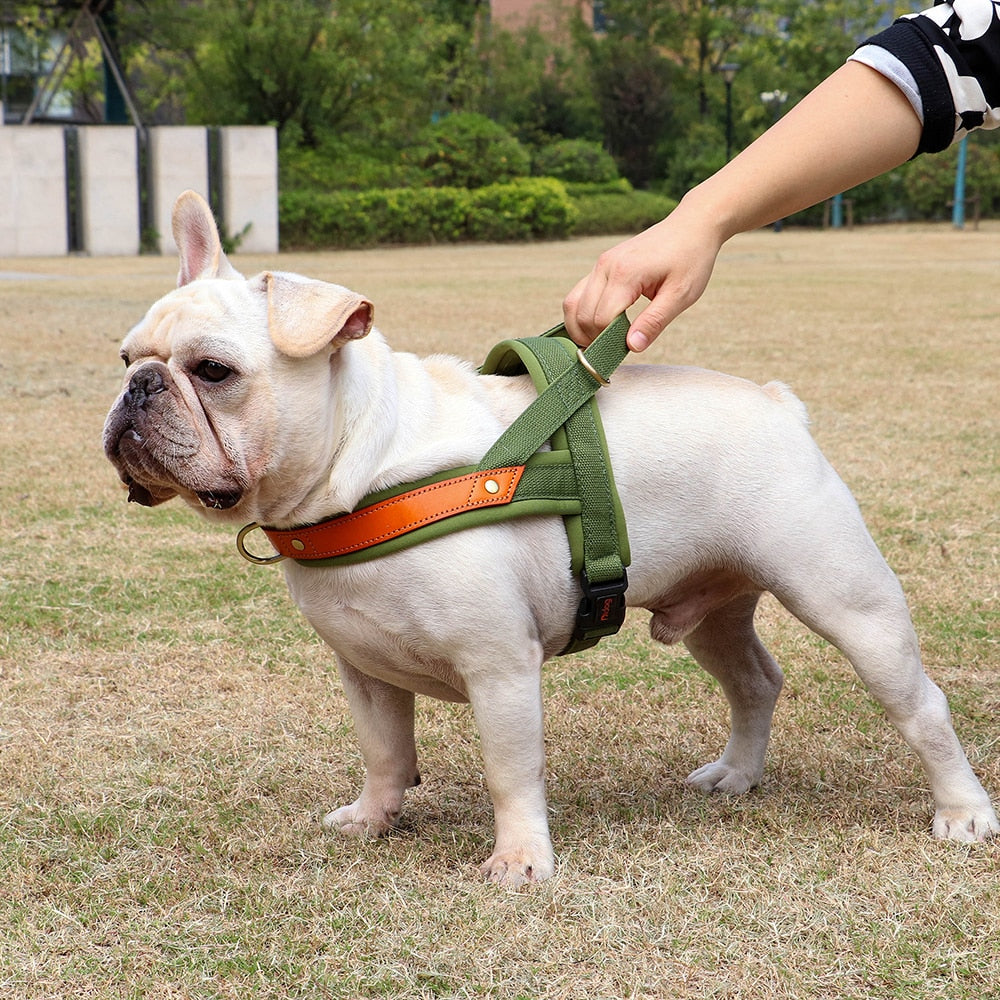 No Pull Dog Harness Soft Padded Dog Harnesses Vest Reflective Pet Training Harnesses Durable for Small Medium Large Dogs Bulldog