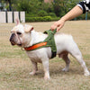 Soft Padded No Pull Dog Harness - Brown