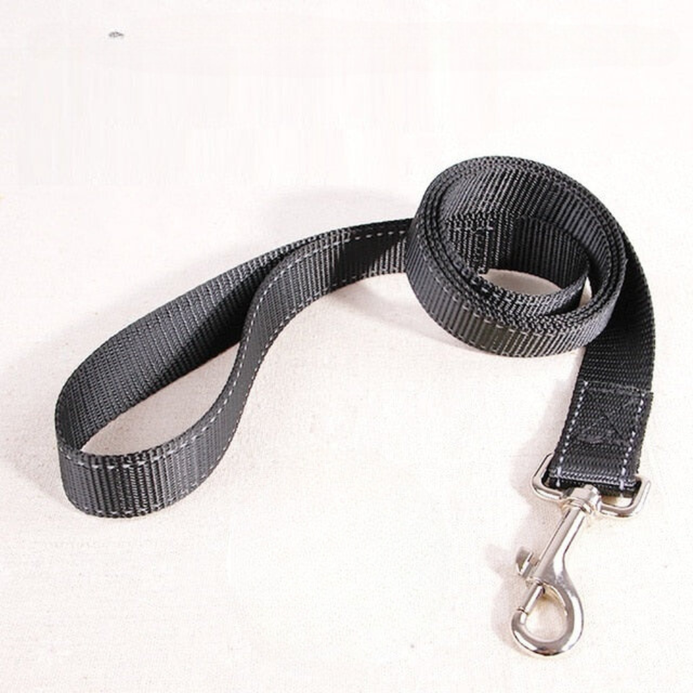 Nylon Reflective Traction Leash