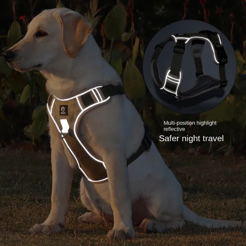 Reflective Dog Harness - Blue