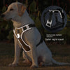 Reflective Dog Harness - Blue