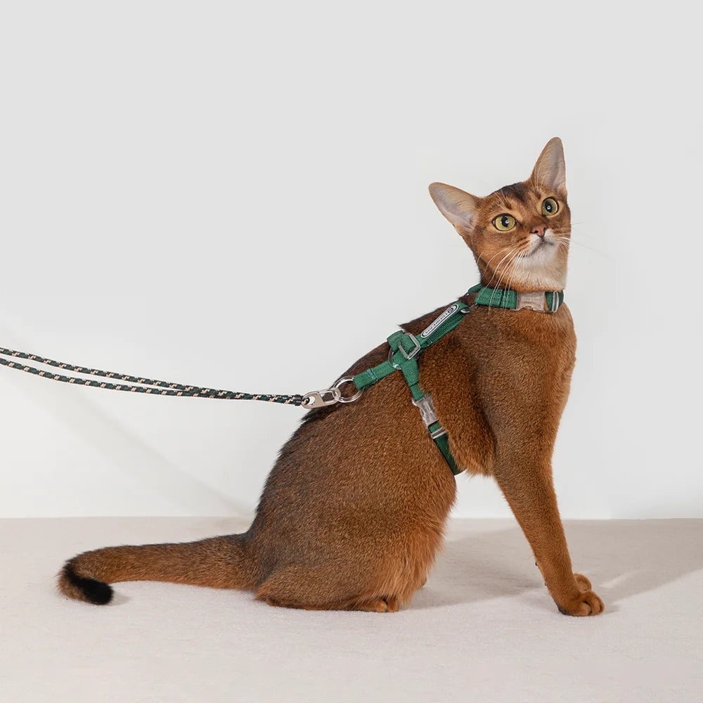 Cat Multifunctional Harnesses Suspenders Set Comfortable Reflective I-Font Structure Anti-Break Adjustable Cat Leash