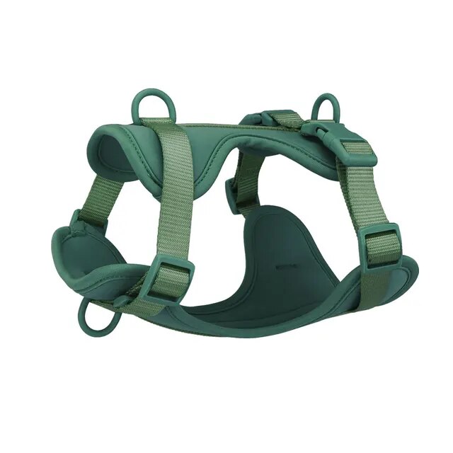 Dog Harness Outdoor Walk Training Fashion Pet Chest Strap Pet Harenss for Small Medium Dog