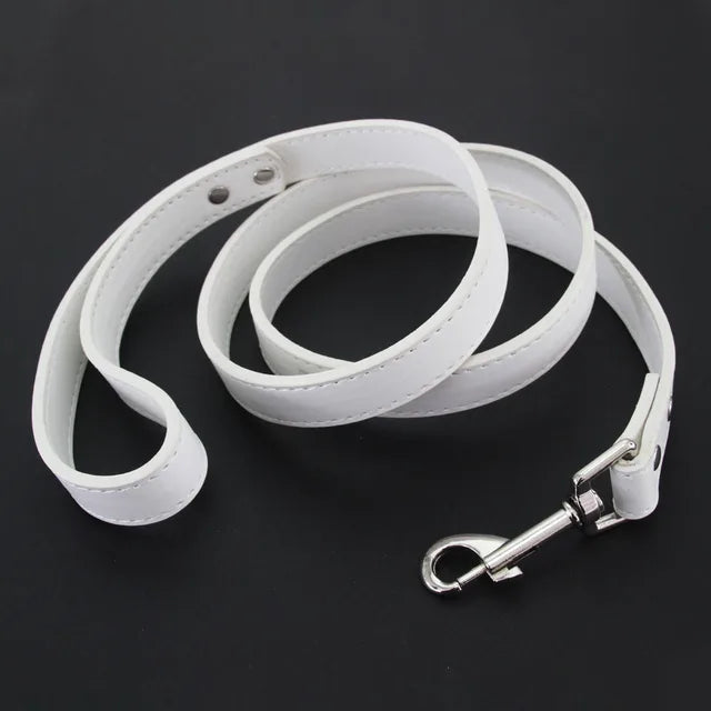 Leather Dog Leash