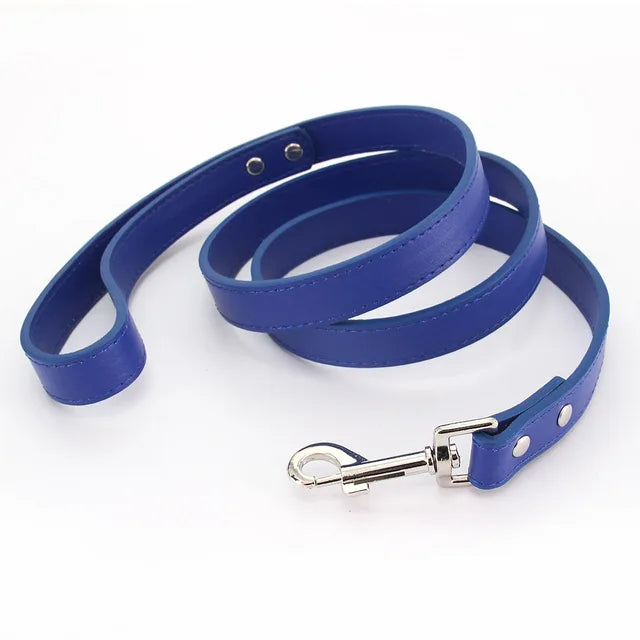 Leather Dog Leash