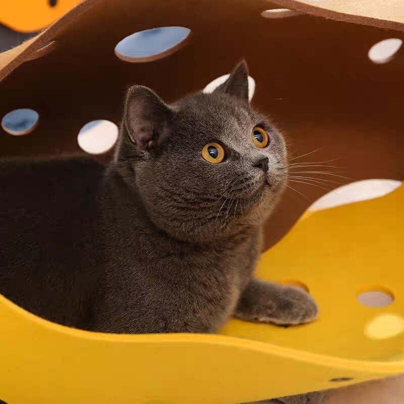 Splicing Felt Cat Tunnel Toy Foldable Porous and Concealable Self Entertainment Funny Toys Multifunctional Cave Nest Pet Mat